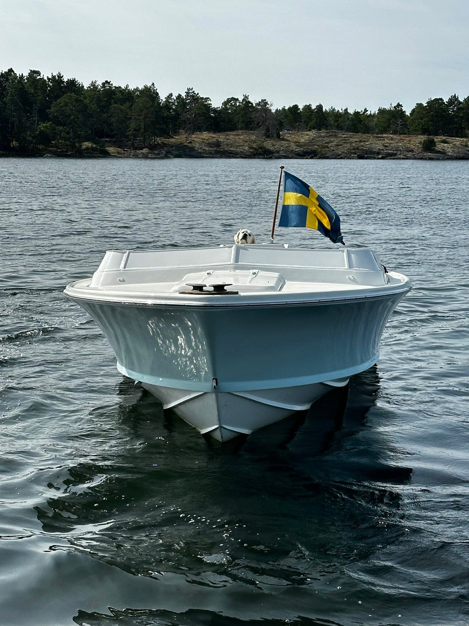 Bertram 25 Open — photo 1