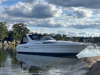 Sea Ray Sundancer 330 1992